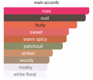 Gucci Oud Main Accords