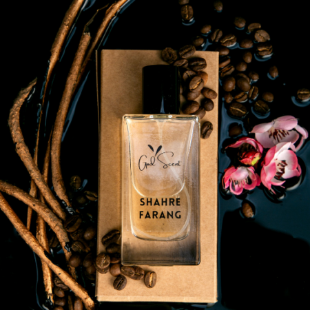 Shahre Farang - INSPIRED BY Black Opium Ysl
