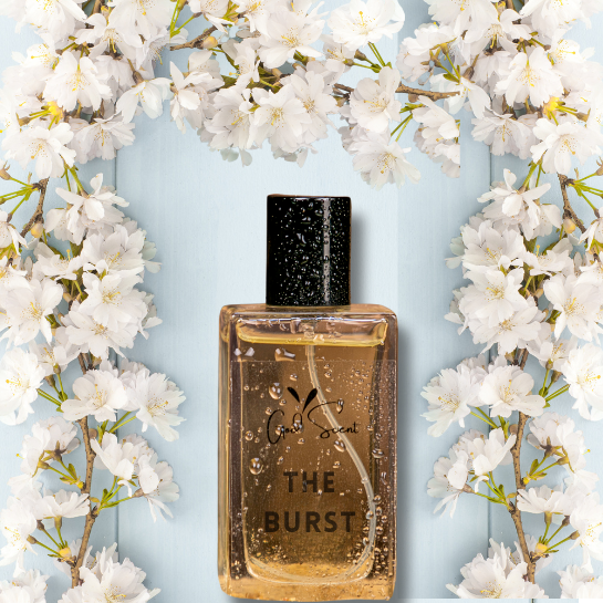 The Burst - Impression of Flower Bomb by Victor & Rolf